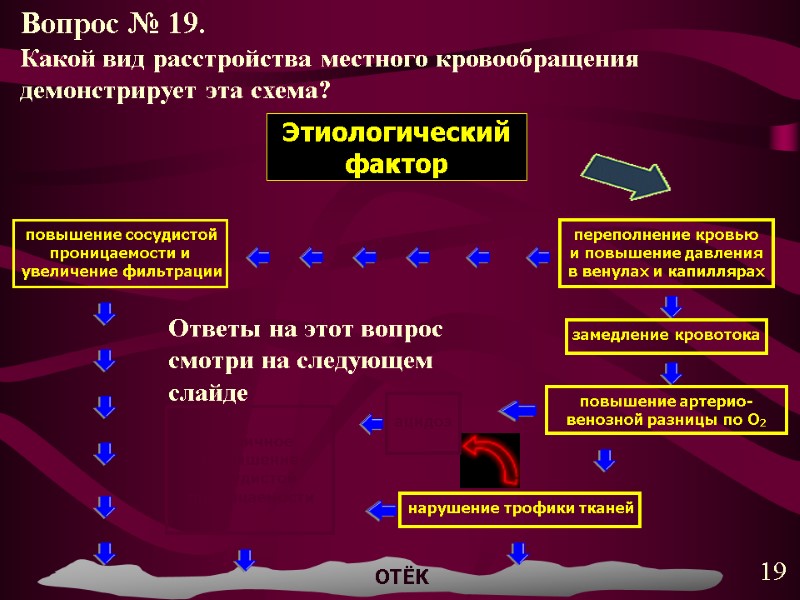 повышение сосудистой проницаемости и  увеличение фильтрации переполнение кровью и повышение давления в венулах